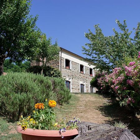 Affittacamere La Rosa Nel Bicchiere Soveria Mannelli Esterno foto
